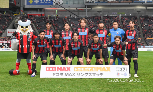 ©2026 CONSADOLE