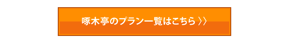 代替テキスト