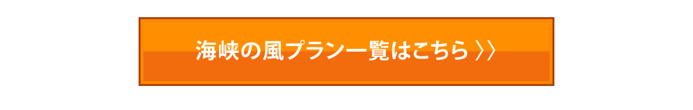 代替テキスト